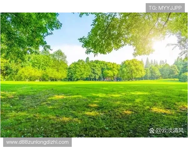 真龙凯时人生就是博：用心经营每一天，成就不平凡的人生旅程